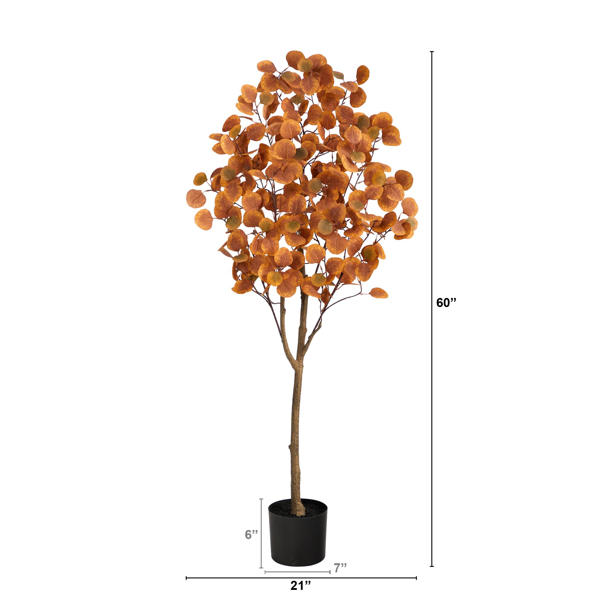 5ft. Potted Autumn Eucalyptus Tree